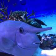 ヒメ日記 2025/05/19 09:08 投稿 こはく One More奥様　町田相模原店