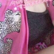 ヒメ日記 2025/09/03 07:54 投稿 こはく One More奥様　町田相模原店