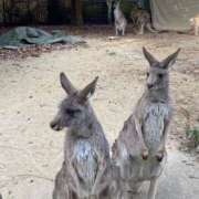 ヒメ日記 2025/02/17 11:02 投稿 すみれ ぷよステーション大宮店