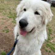 ヒメ日記 2025/06/13 17:57 投稿 すみれ ぷよステーション大宮店