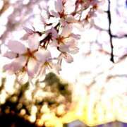 ヒメ日記 2025/12/01 21:13 投稿 すみれ ぷよステーション大宮店