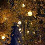 すみれ 本日の空き☺︎ ぷよステーション大宮店