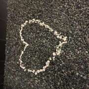 ヒメ日記 2025/12/16 09:13 投稿 すみれ ぷよステーション大宮店