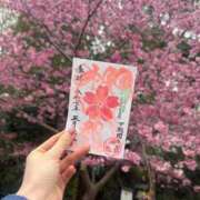 ヒメ日記 2025/03/31 12:49 投稿 みやび やMAT撫子