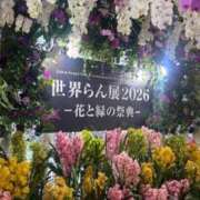 みやび 世界らん展𓂃𓂂ꕤ*.ﾟ💓 やMAT撫子