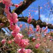 ヒメ日記 2026/03/12 07:01 投稿 みやび やMAT撫子