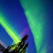 ヒメ日記 2026/03/25 05:00 投稿 みやび やMAT撫子