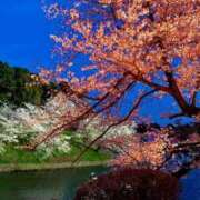 ヒメ日記 2026/04/03 21:55 投稿 みやび やMAT撫子