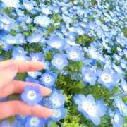 ヒメ日記 2026/04/23 19:24 投稿 みやび やMAT撫子