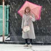 ヒメ日記 2025/01/09 15:42 投稿 ゆず 奥様メモリアル