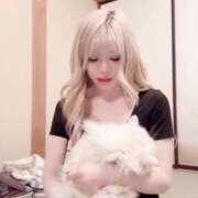 ゆず にゃんこと戯れ💕😻写真😘 奥様メモリアル