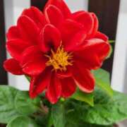 ヒメ日記 2025/05/26 17:48 投稿 青葉(あおば) 八王子人妻城