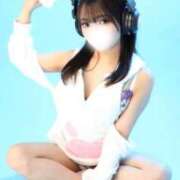 ヒメ日記 2025/04/16 17:37 投稿 みなみ 黒い金魚（札幌）