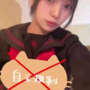 ヒメ日記 2025/05/15 17:07 投稿 みなみ 黒い金魚（札幌）