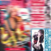 ヒメ日記 2025/05/17 06:40 投稿 みなみ 黒い金魚（札幌）