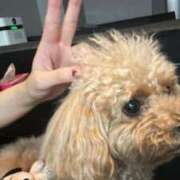 ヒメ日記 2025/07/14 20:52 投稿 みなみ 黒い金魚（札幌）