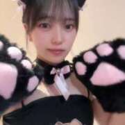 ヒメ日記 2025/08/13 01:20 投稿 みなみ 黒い金魚（札幌）