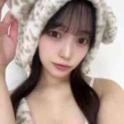 ヒメ日記 2025/08/23 14:50 投稿 みなみ 黒い金魚（札幌）