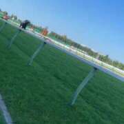 ヒメ日記 2026/01/01 00:20 投稿 みなみ 黒い金魚（札幌）