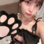 ヒメ日記 2026/04/16 13:50 投稿 みなみ 黒い金魚（札幌）