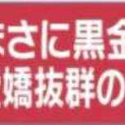 ヒメ日記 2026/09/18 06:20 投稿 みなみ 黒い金魚（札幌）