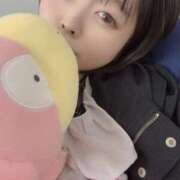 ヒメ日記 2025/08/03 09:20 投稿 らて 黒い金魚（札幌）