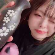 ヒメ日記 2025/08/11 22:50 投稿 らて 黒い金魚（札幌）