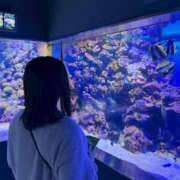 ヒメ日記 2025/11/14 00:00 投稿 らて 黒い金魚（札幌）