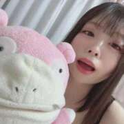 ヒメ日記 2025/11/14 17:29 投稿 らて 黒い金魚（札幌）