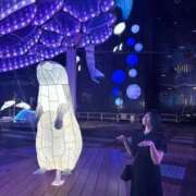 ヒメ日記 2025/11/15 00:10 投稿 らて 黒い金魚（札幌）