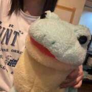 ヒメ日記 2025/11/25 07:40 投稿 らて 黒い金魚（札幌）