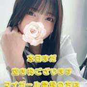 ヒメ日記 2025/05/28 07:47 投稿 えれな 黒い金魚（札幌）