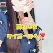 ヒメ日記 2025/05/31 15:48 投稿 えれな 黒い金魚（札幌）