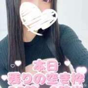 ヒメ日記 2025/10/30 10:28 投稿 えれな 黒い金魚（札幌）