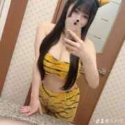 ヒメ日記 2025/11/19 07:40 投稿 えれな 黒い金魚（札幌）