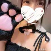 ヒメ日記 2026/02/11 16:20 投稿 えれな 黒い金魚（札幌）