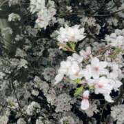 あやめ 出勤してます✨ イエローキャブ