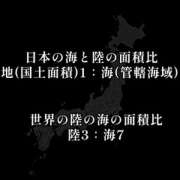 ヒメ日記 2026/06/08 11:01 投稿 すみれ 蒼いうさぎ