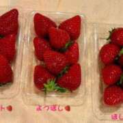 ヒメ日記 2025/02/20 17:46 投稿 雪（ユキ） アバンチュール(五反田)