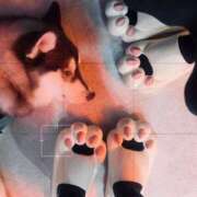 ヒメ日記 2025/04/29 10:46 投稿 雪（ユキ） アバンチュール(五反田)