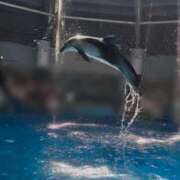 ヒメ日記 2025/08/14 18:31 投稿 雪（ユキ） アバンチュール(五反田)