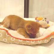 ヒメ日記 2025/09/25 11:01 投稿 雪（ユキ） アバンチュール(五反田)