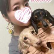 ヒメ日記 2024/12/30 20:51 投稿 さくら 華美人