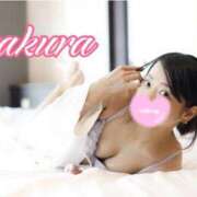 ヒメ日記 2025/01/18 11:28 投稿 さくら 華美人