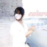 ヒメ日記 2025/02/02 13:03 投稿 さくら 華美人
