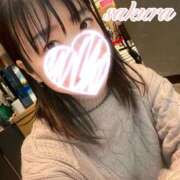 ヒメ日記 2025/02/05 09:07 投稿 さくら 華美人