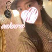 ヒメ日記 2025/02/08 10:51 投稿 さくら 華美人