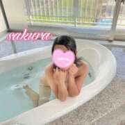 ヒメ日記 2025/02/28 11:25 投稿 さくら 華美人