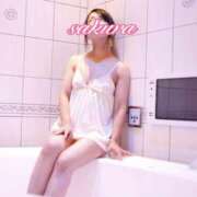 ヒメ日記 2025/02/28 12:02 投稿 さくら 華美人