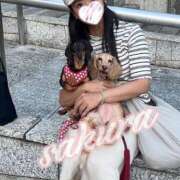 ヒメ日記 2025/03/03 16:11 投稿 さくら 華美人